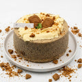 Biscoff Cloud Lite Chiffon
